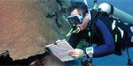 Eco-Tourism & NAI'A