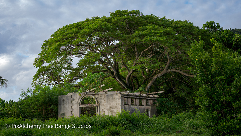 Makogai Prison