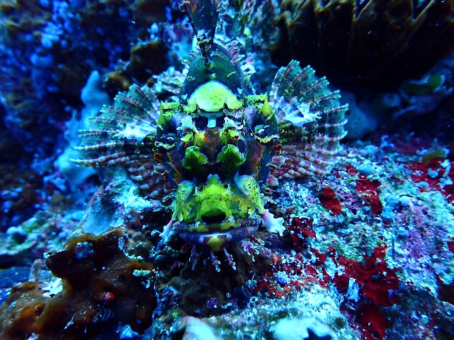 scorpio 2