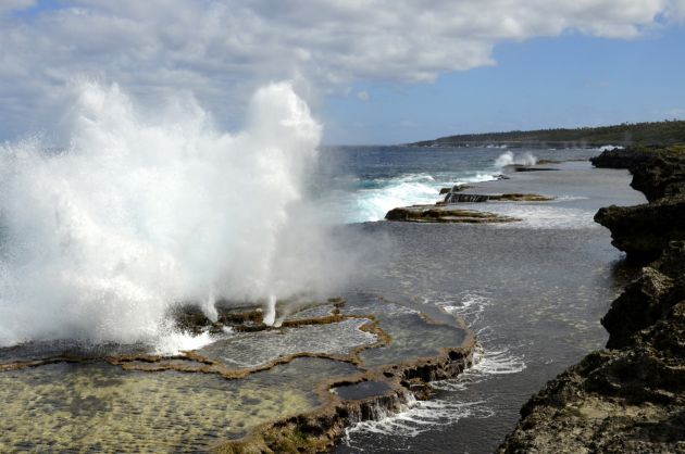 Blowholes - by Chris