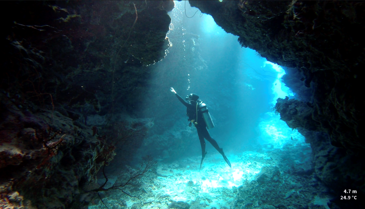 Love Is Underwater & Mating Everywhere