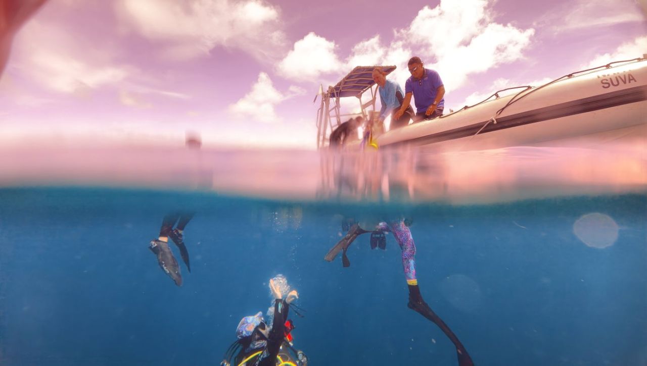 Calm Above, Excitement Below