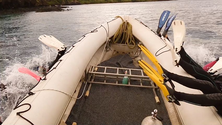 Fish Charades Or Spoon Of Vegemite 