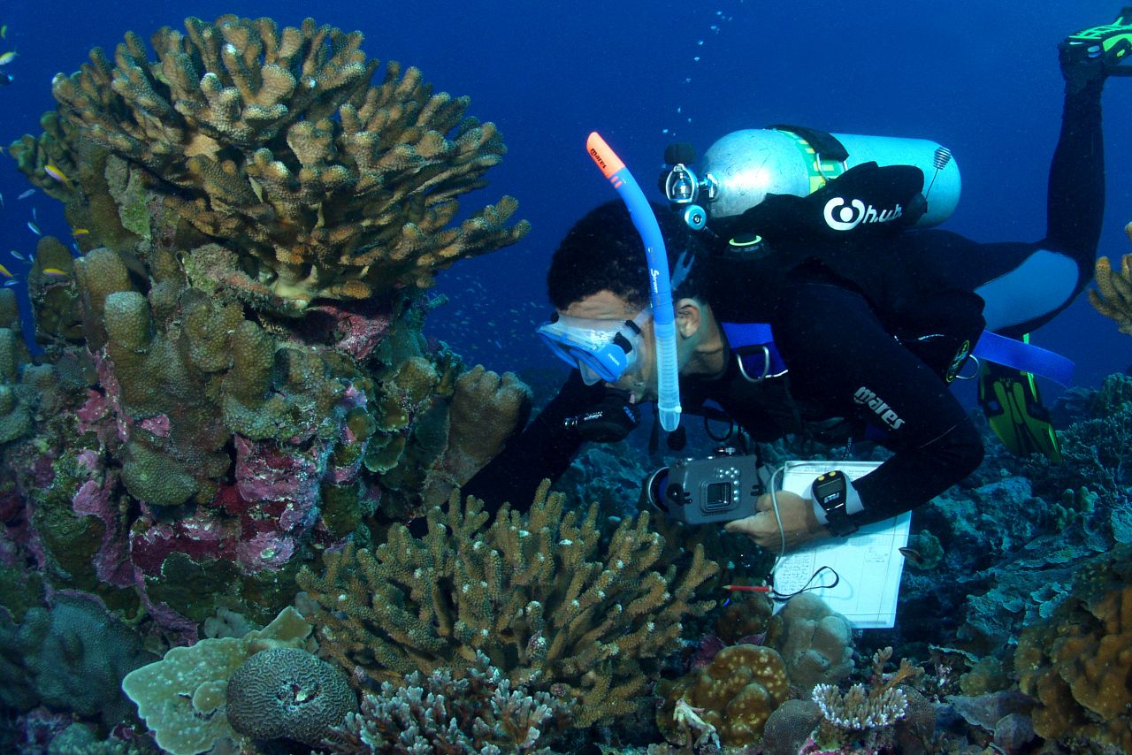 Dr. David Obura surveys coral cover at Orona, Phoenix Islands