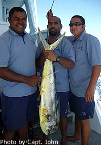 Mahi-mahi catch at Ogea.