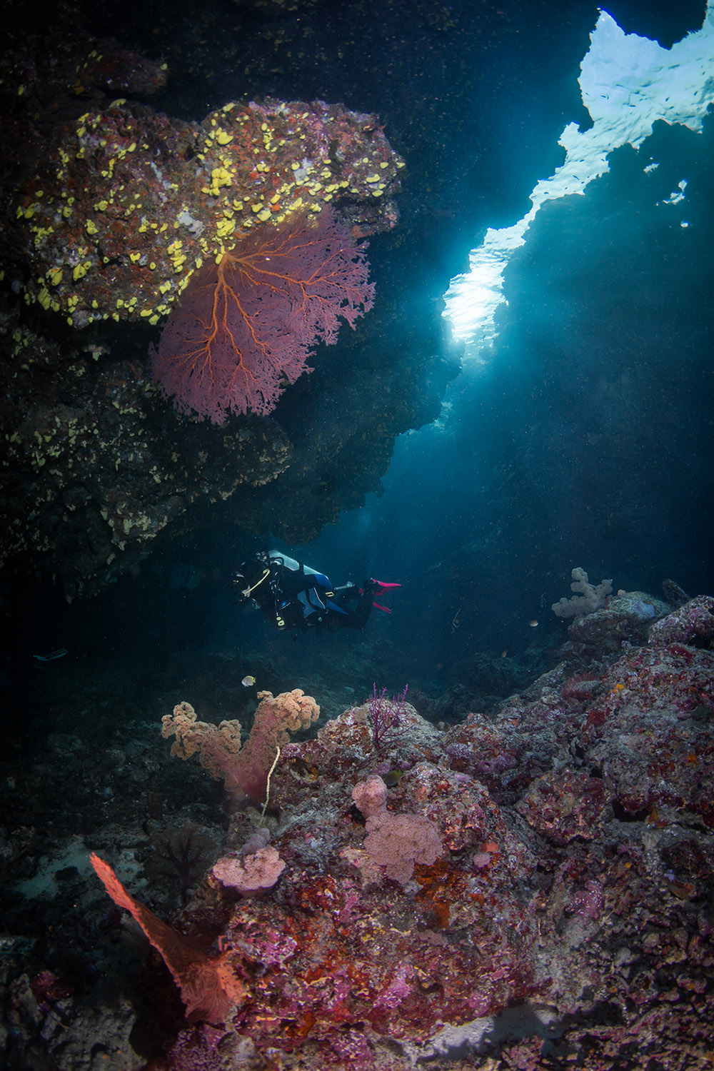 fiji reef nai'a