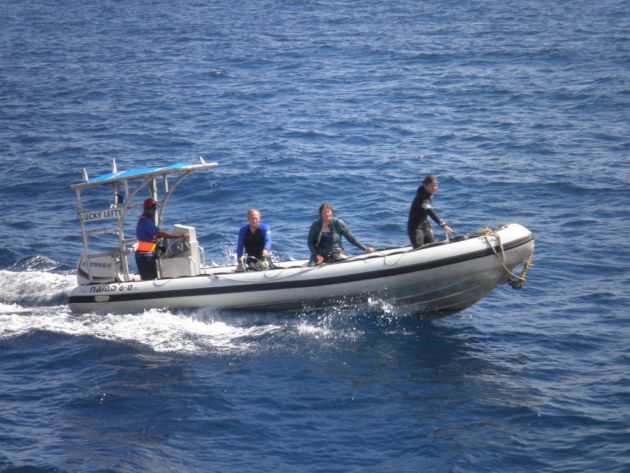 Returning from the dive