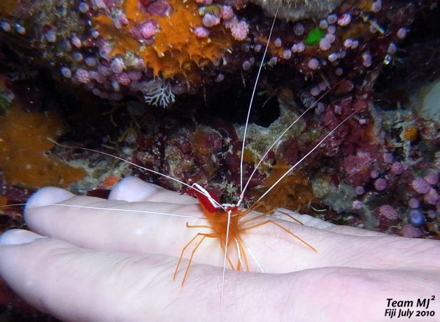 Time for a manicure in Namena, taken by Meijin