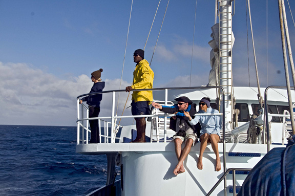 Sundeck whale watching in progress - taken by Wendy