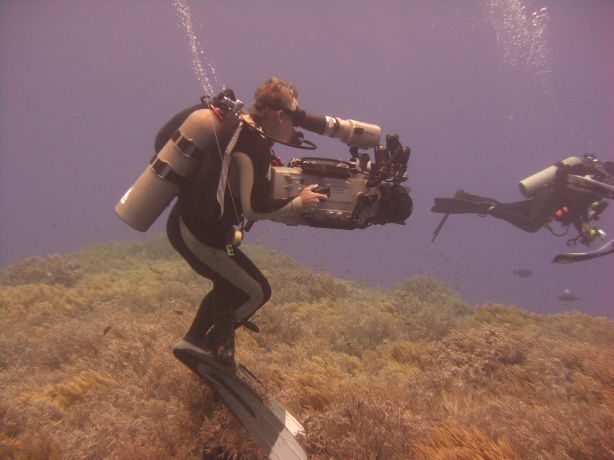 Jay Ireland demonstrates 'Pole Diving' with his monster!. Photo taken by Doug P.