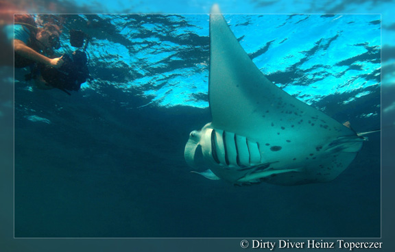 Sam & the Manta - taken by Heinz