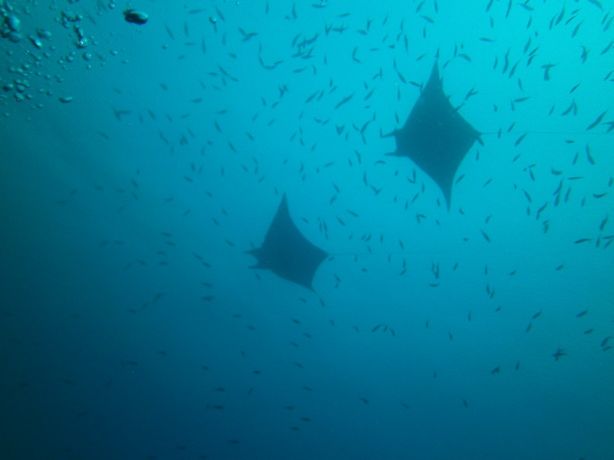 As if Nigali Passage weren't already exciting enough! - by Dave