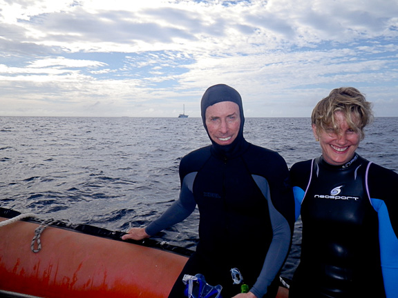 Happy Whale swimmers - taken by Doug