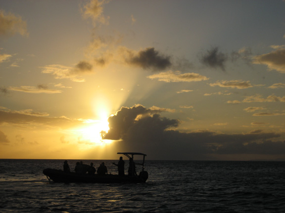 Dusk dive: taken by Fritz