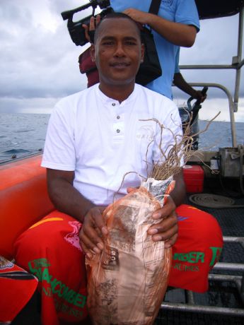 Eddie with his Kava root offering for the village: taken y Susan