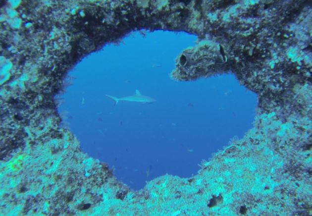 Through the porthole - by Janne