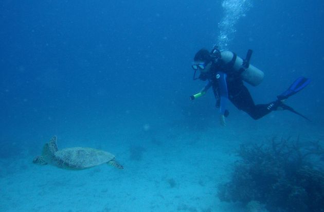 Malia and her turtle at Namena.