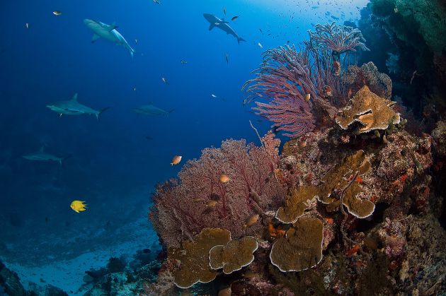 Nigali Passage.  Photo by Erwin Filius