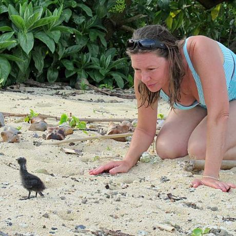 Cat with injured tern by sarah