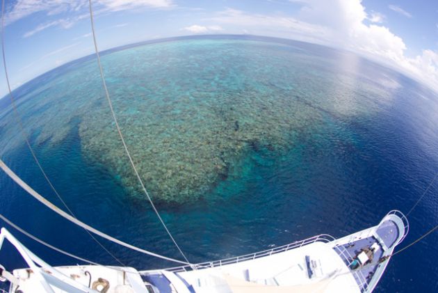 Top of the world! E-6 from the crow's nest. by Joshua