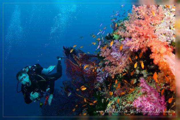 WOW - Stunning soft coral display. Thomas poses for Michael