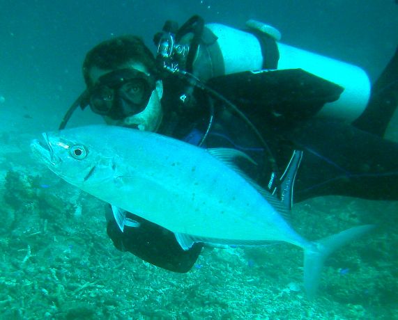 Fishy friend - by Tony