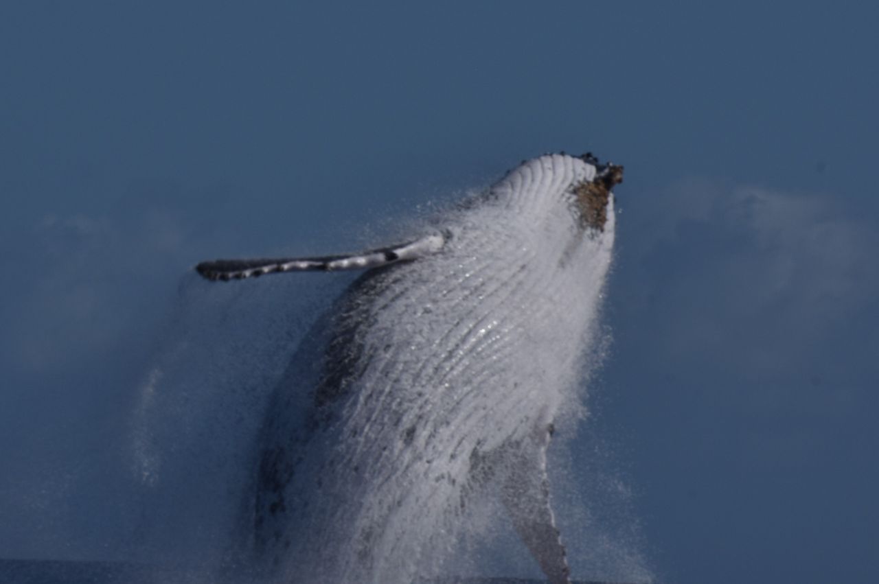 We Have Lift Off! by Thorsten