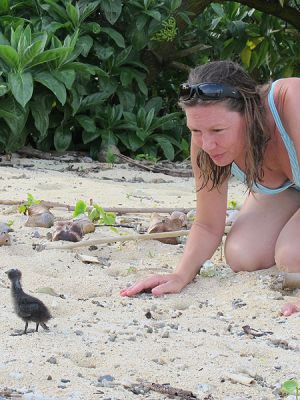 Cat and injured tern