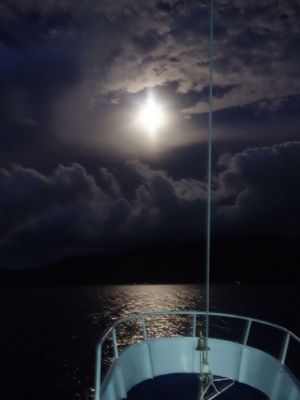 Full Moon. Photo by Vanessa