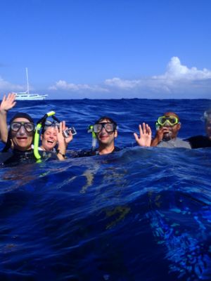 Great whales = happy snorkelers