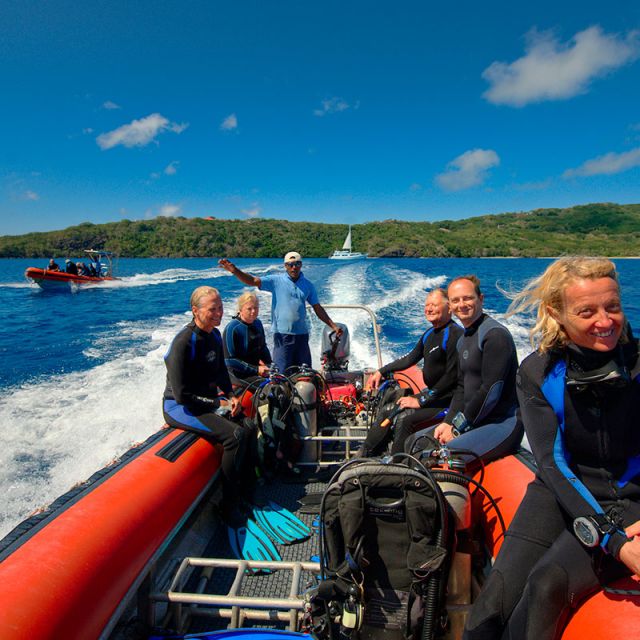 Skiff Diving