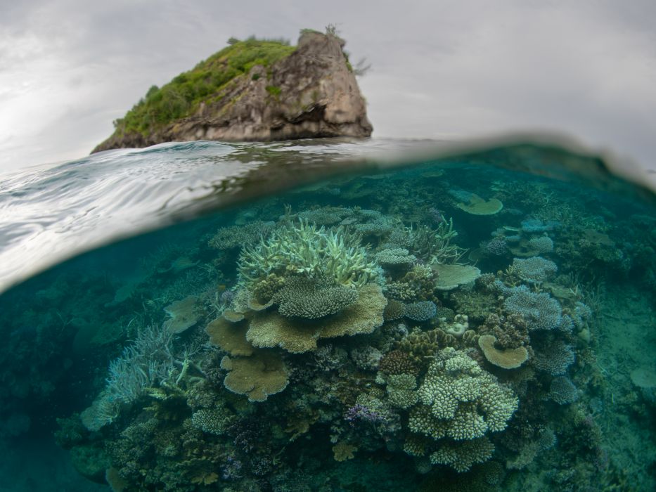 Losing Oneself At The Surface 