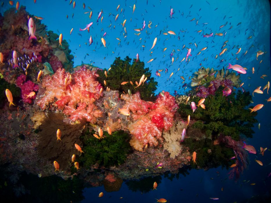Postcard Fiji