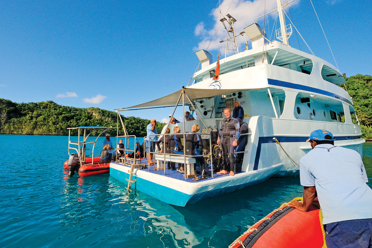 Stern dive platform